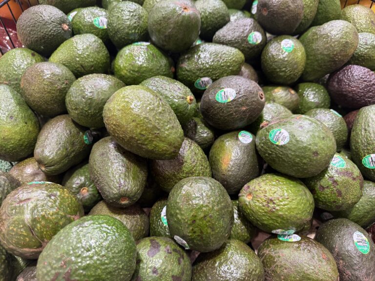 The Butter of the Forest: 5 Incredible Benefits of Avocados and How to Eat Them