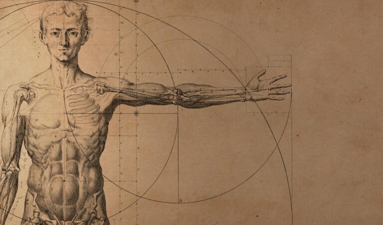[Health Guide] Listen to Your Body: Body Pain by Location and Potential Conditions