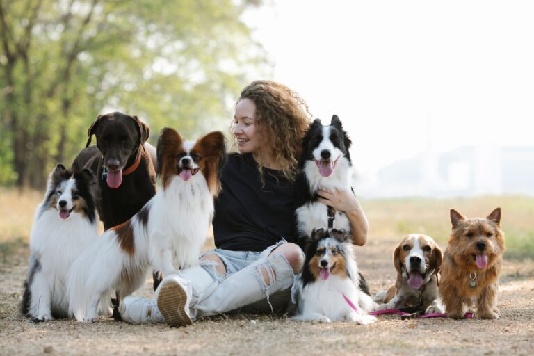 4Heartwarming Ways to Help Animals in Need in the US: From Donations to Everyday Actions